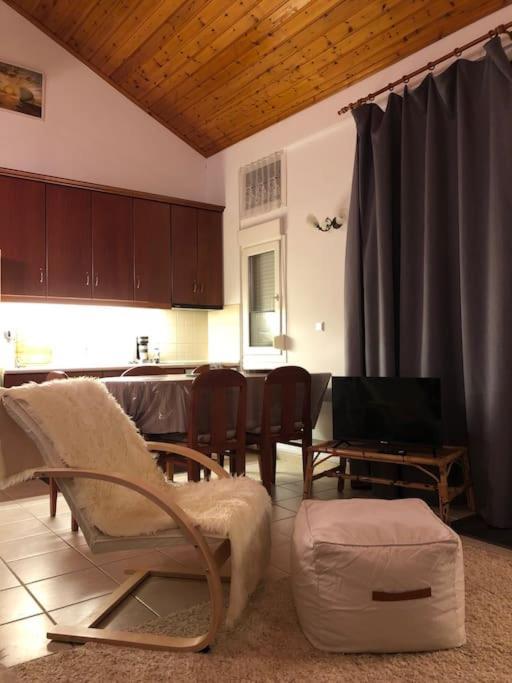 Apartment Olympus Touch: μεζονέτα με θέα στον όλυμπο *